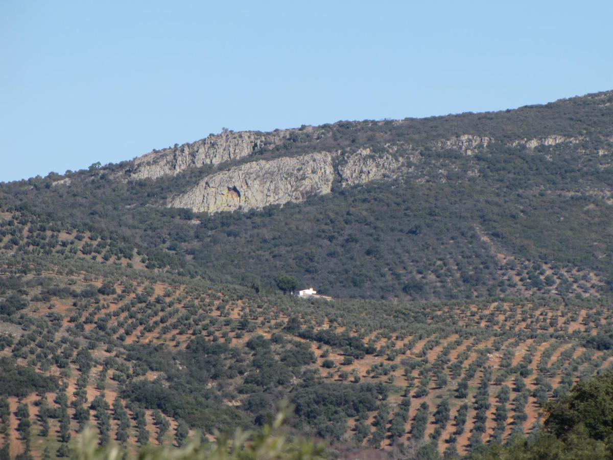 Cortijo "Era Grande 2" Vila Córdova Exterior foto